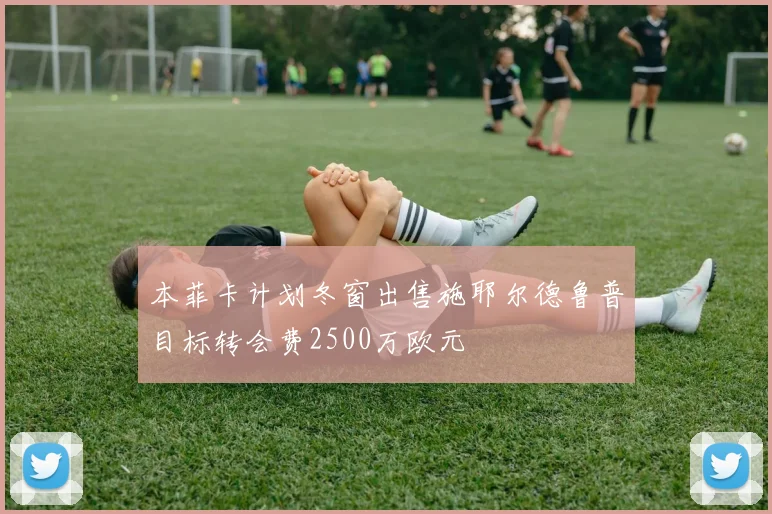本菲卡计划冬窗出售施耶尔德鲁普目标转会费2500万欧元