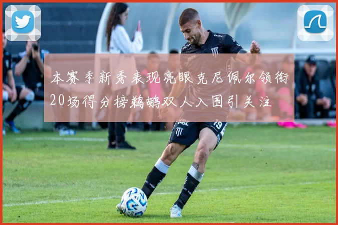 本赛季新秀表现亮眼克尼佩尔领衔20场得分榜鹈鹕双人入围引关注