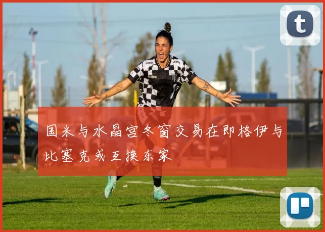 国米与水晶宫冬窗交易在即格伊与比塞克或互换东家