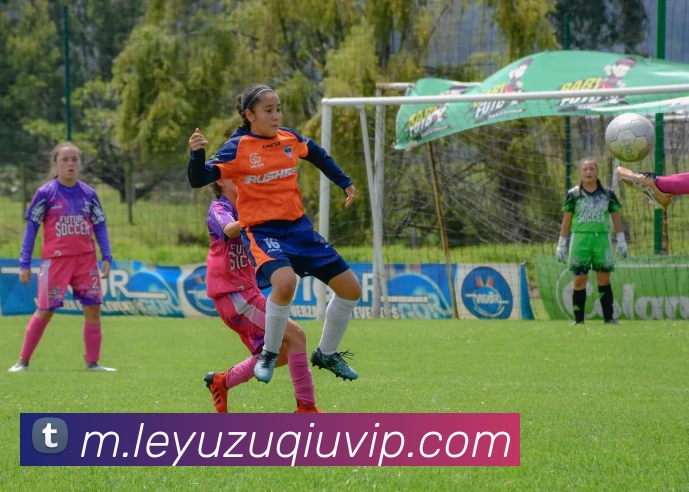 乐鱼体育品牌故事