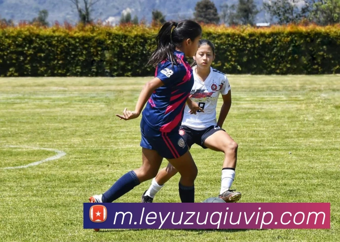 乐鱼体育服务体系